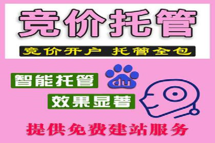 知名百度推广代运营公司案例分享